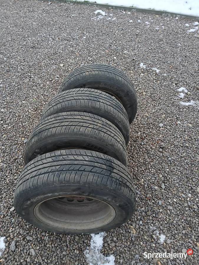 Opony zimowe 2056515 Zeetex WP 100 2020 felgi Koła