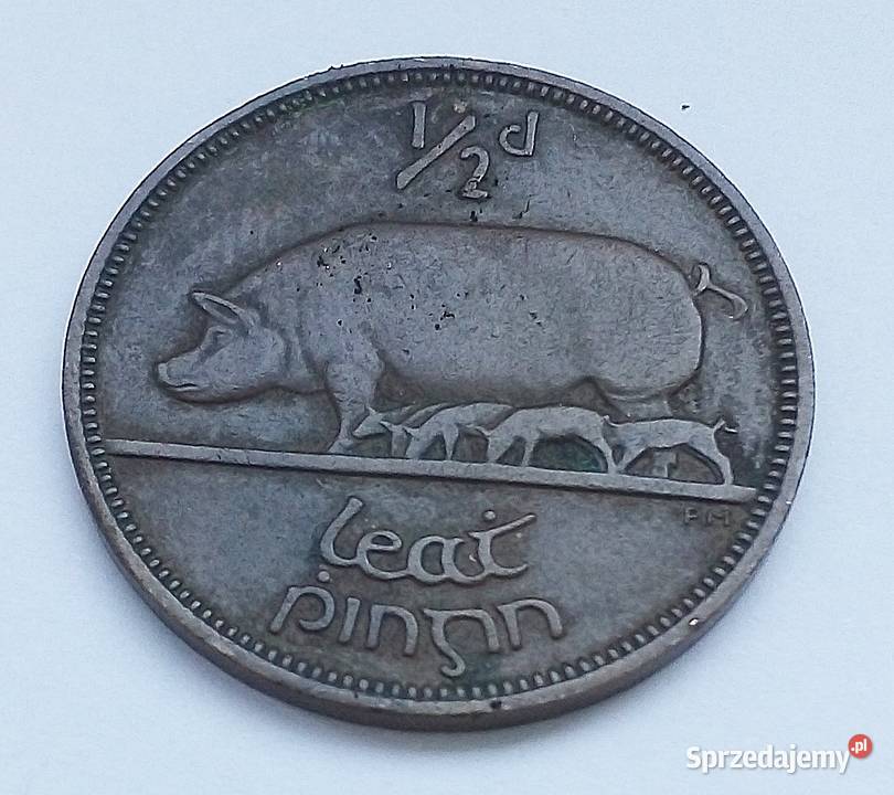 IRLANDIA12 PENNY1953 rŚWINIA Z MAŁYMI Numizmatyka Kolekcje Legionowo