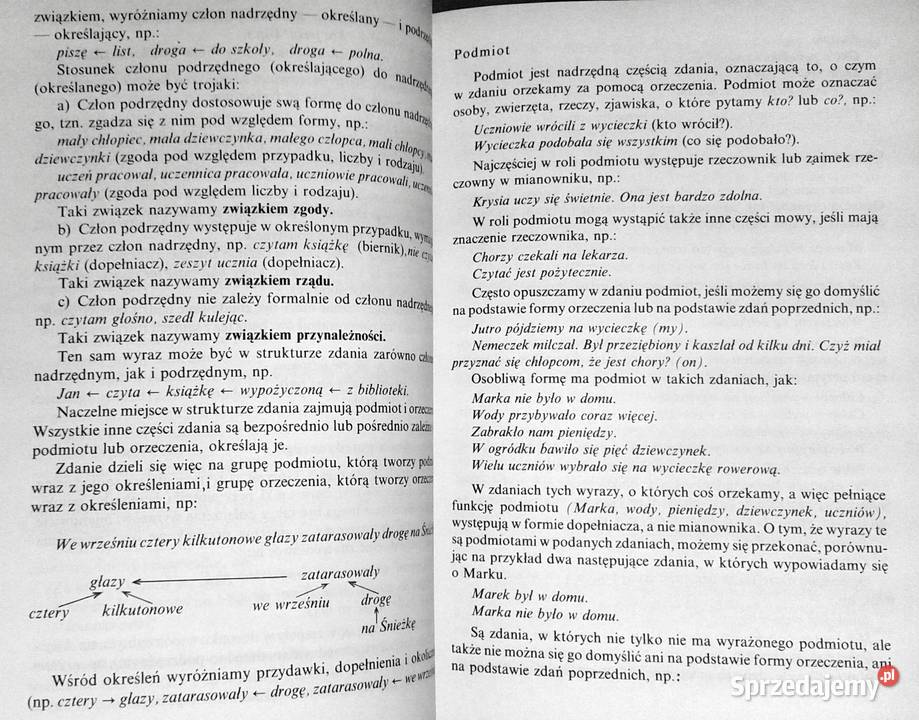 Vademecum maturzysty Język polski Stanisława Chełm