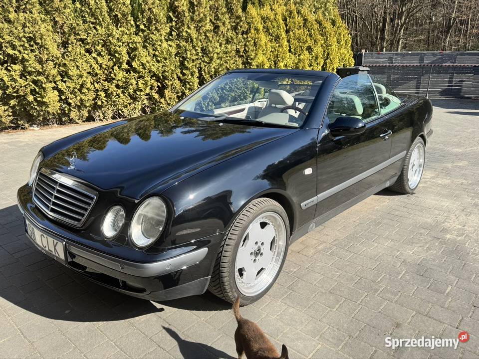 CLK Cabrio stan kolekcjonerski wszystko nowe Sieniczno