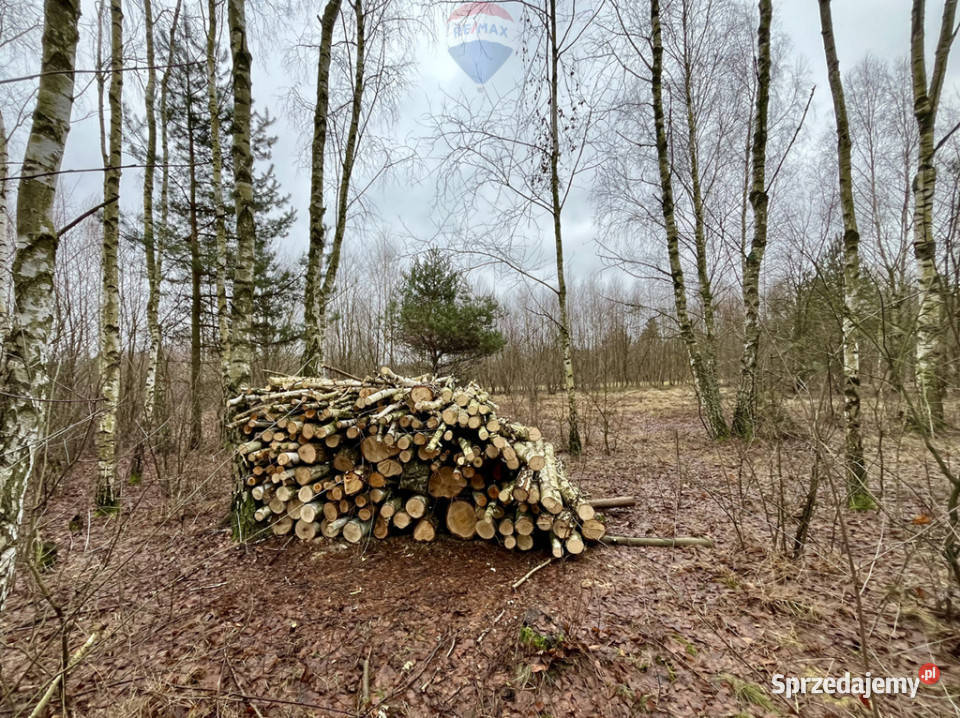 Działka rolnoleśna na sprzedaż 23766 ha Mariew