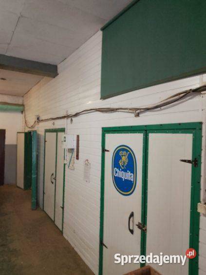 Sprzedam Hurtownie Warzyw Owoców Gotowy Biznes śląskie Kłobuck