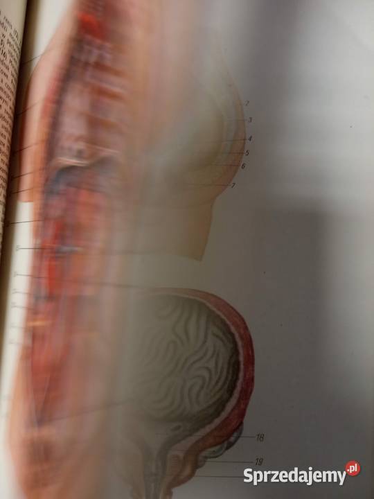 Mały atlas anatomiczny kolekcjonerskie książki Warszawa