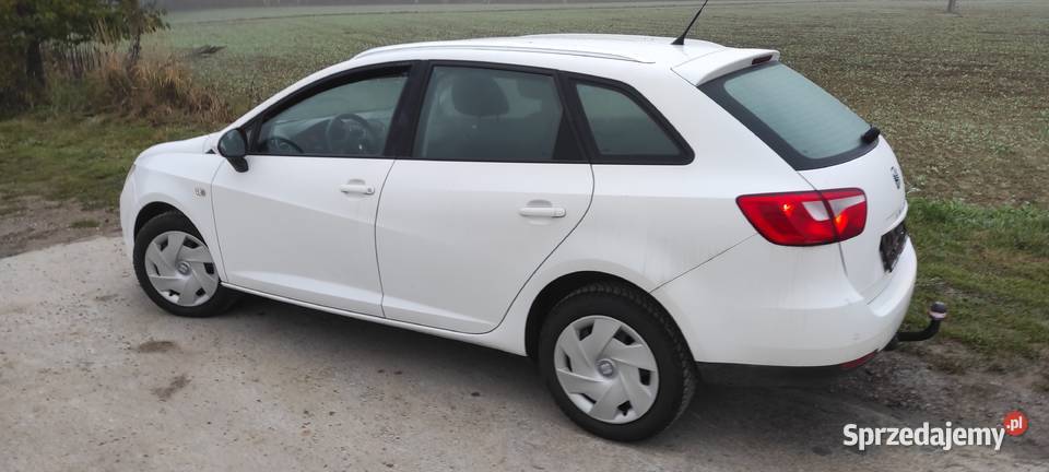 Seat Ibiza IV 14 MPI 36 Skała