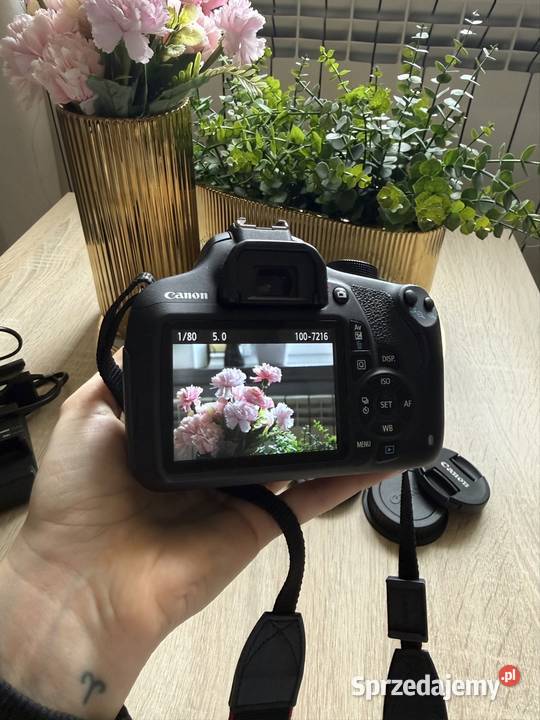 Canon 1200D Puławy