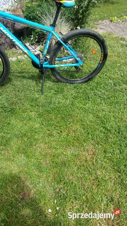 Rower górski monteria mtb mrx 26 Jakuszów