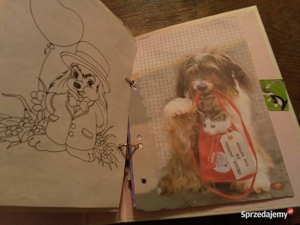 Segregator z karteczkami Disney Kubuś Puchatek Warszawa sprzedam