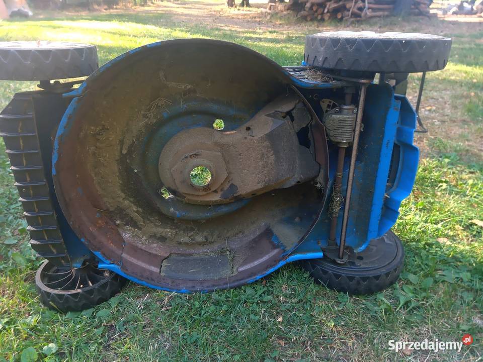 Grassmeister Kenwood części Pozostałe