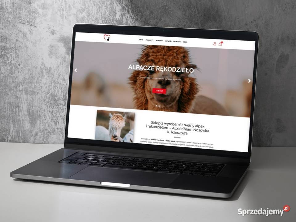 Sklepy internetowe ecommerce Tarnów