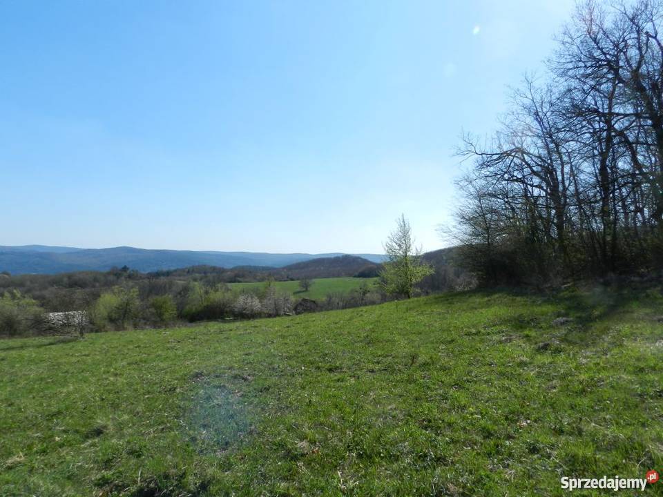 Kopysno pustka godna wypełnienia Kopysno