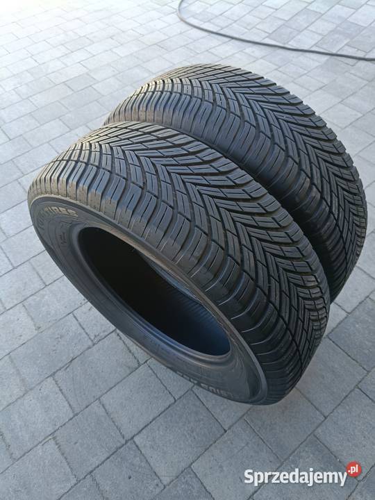Opony 21565R16 CELSIUS AS2 TORO TIRES Gronowo Górne