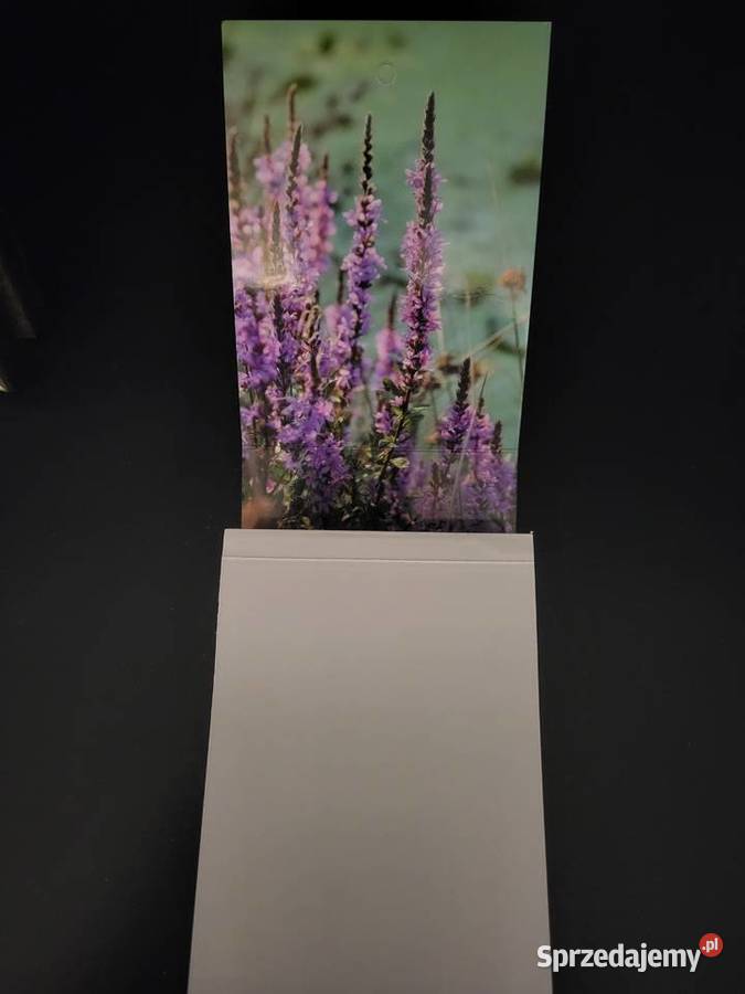 Katolicki Kalendarz 2026 z rozważaniami Zasiew