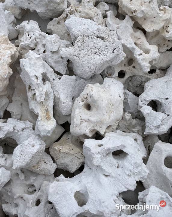 WAPIEŃ FILIPIŃSKI Biała Skała do Akwarium Malawi Warszawa