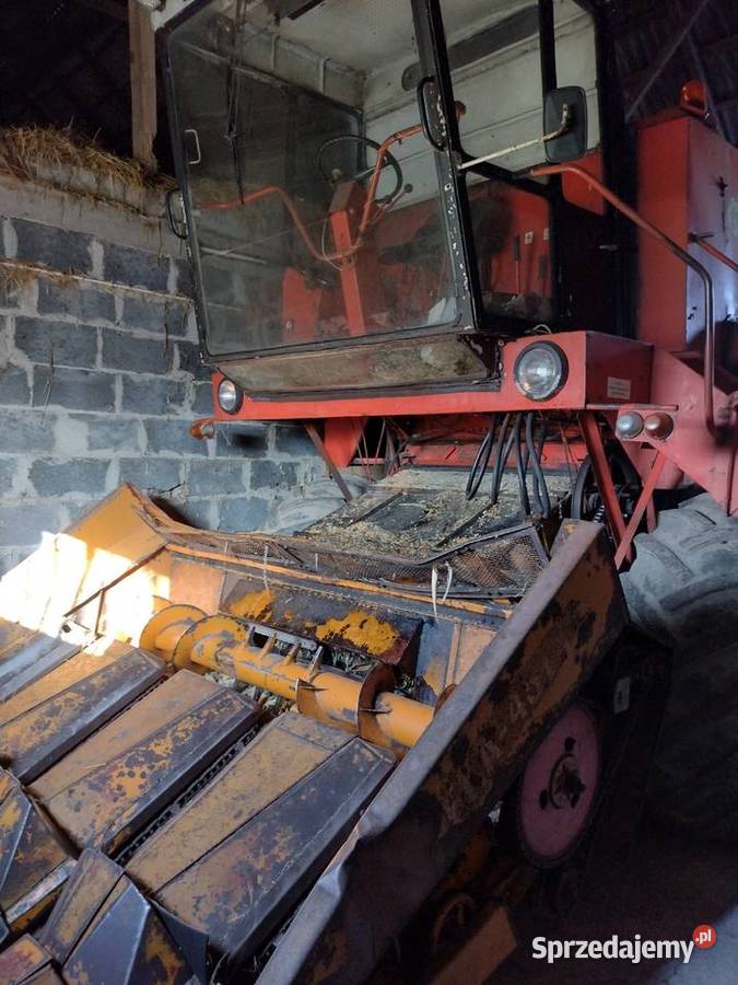 kombajn Bizon Z056 przystawka do kukurydzy Oblęgorek