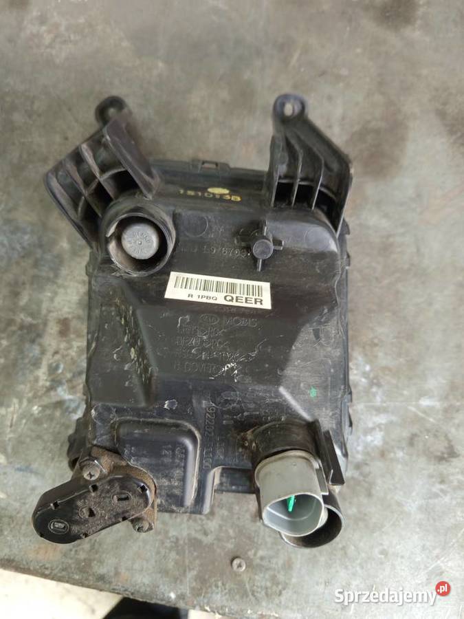 Halogen prawy Kia sportage 4 orginalny Rzeszów