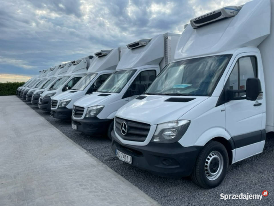 Mercedes Sprinter SALON 315 150 DOKA 7 OSÓB XXXL Samochody dostawcze Leszno
