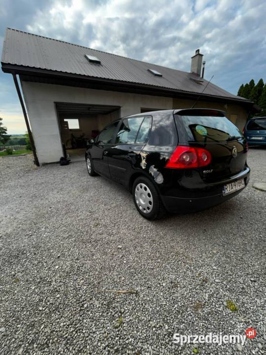 VOLKSWAGEN GOLF V nieuszkodzony podkarpackie Maleniska