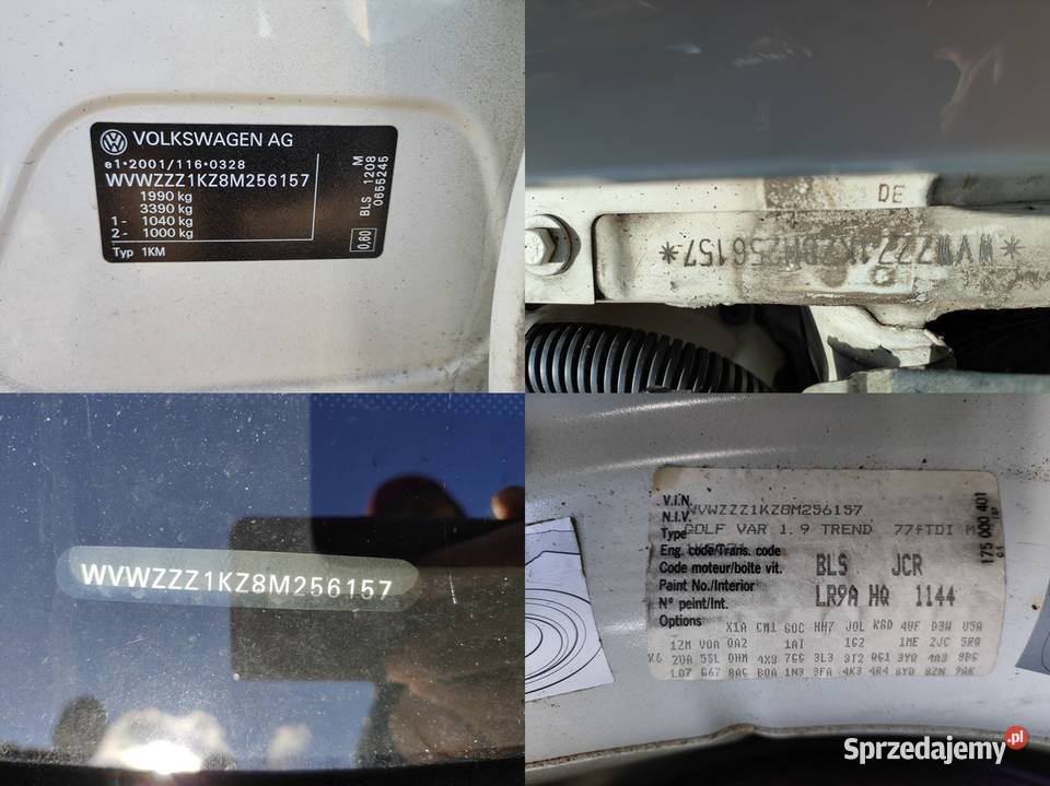 Volkswagen Golf V Korytowo