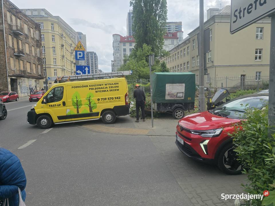 Wycinki drzew Grodzisk Mazowiecki pielęgnacja ogród