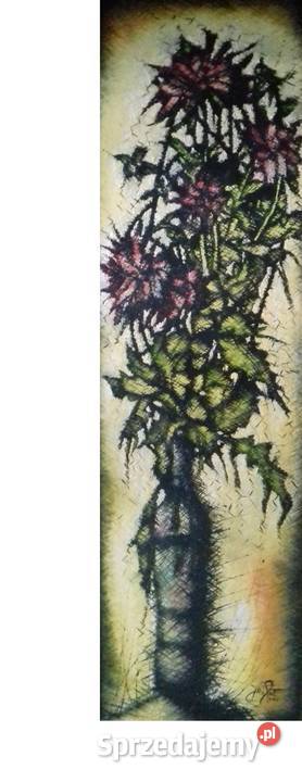 Fioletowe Georginie Ekscytujące Jarosław