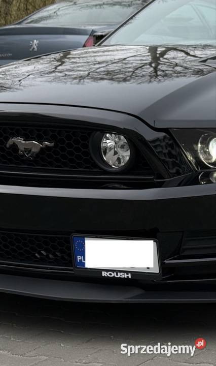 Uchwyt rejestracji Mustang Poznań