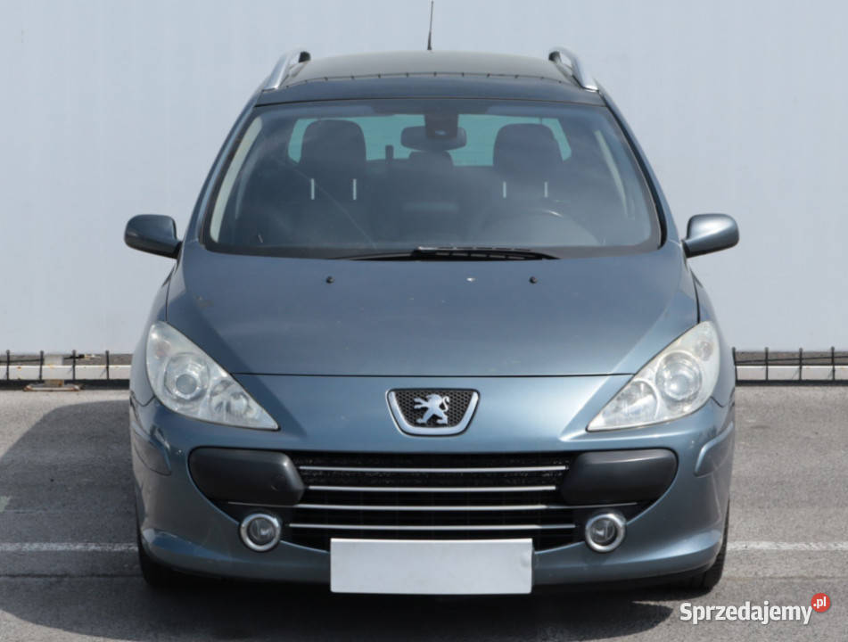 Peugeot 307 20 HDI ESP lubelskie Lublin