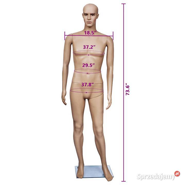 Manekin męski 187 Pozostałe