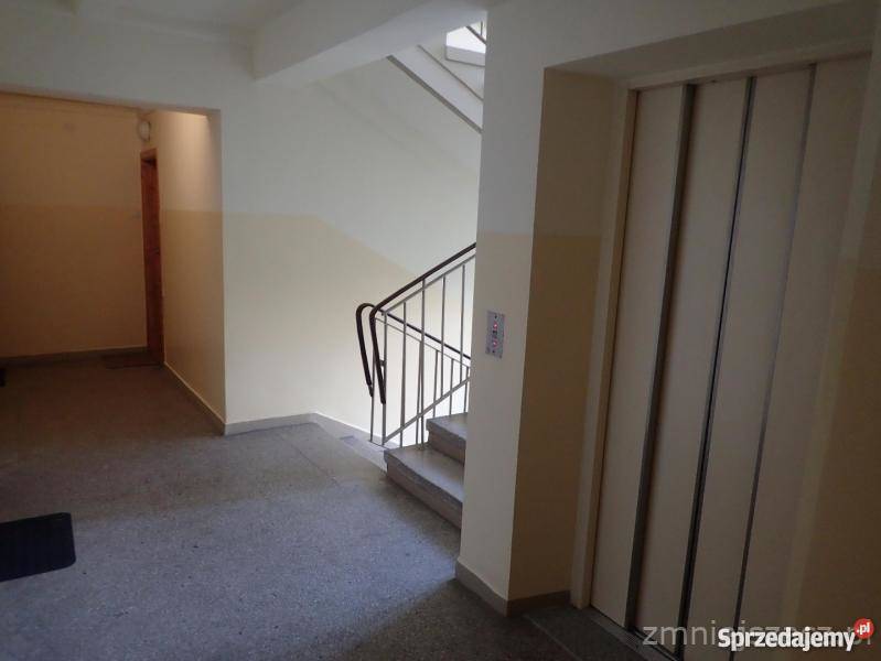 Gdynia działki leśne Pomorska sprzedam