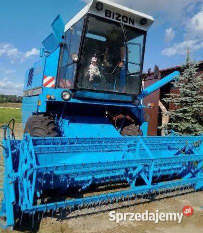 Sprzedam 2 Bizony Rekordy dwa Siedlce sprzedam