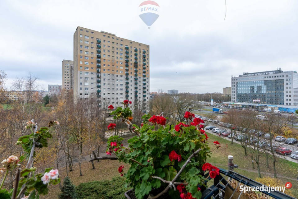 Os Zwycięstwa rodziny studentów inwestycja sprzedam