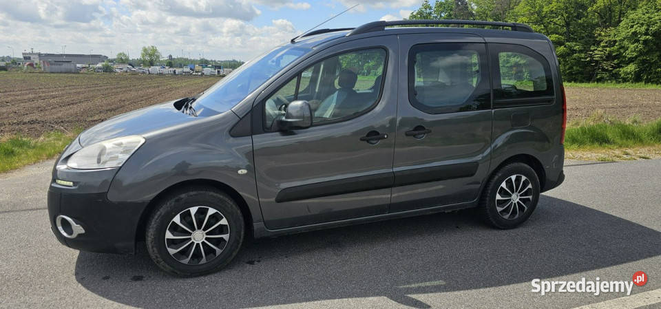 Peugeot Partner 16 Hdi 92 160 II 2008 elektryczne lusterka Pleszew