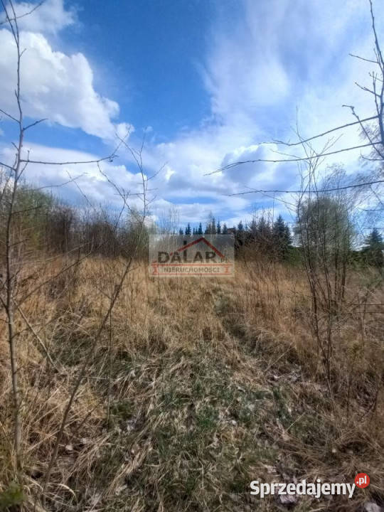 sprzedaży działki 2681m2 Nowa Iwiczna