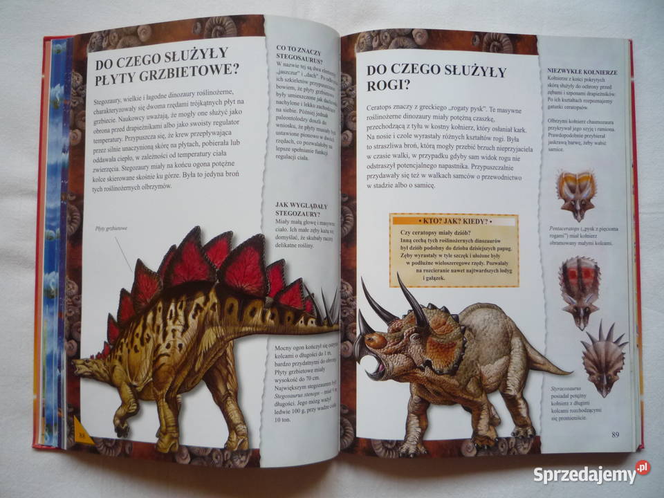 Encyklopedia pytań i odpowiedzi Rekordy miękka Szczecin
