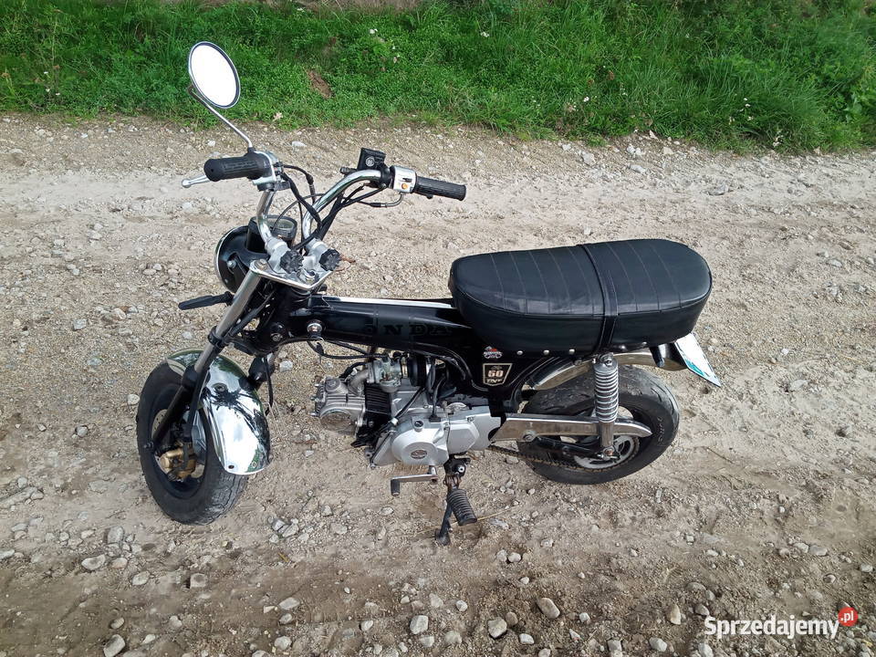 TNT city 50 taki Honda Dax Borek