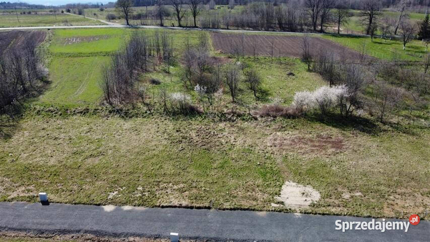 Grunt do sprzedania Złotniki Lubańskie 825m2