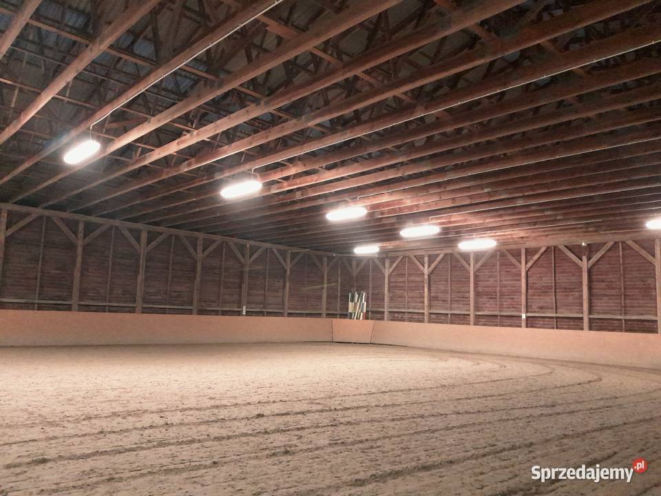 Ośrodek jeździecki stajnia pensjonat hotel koni Bodzanów sprzedam