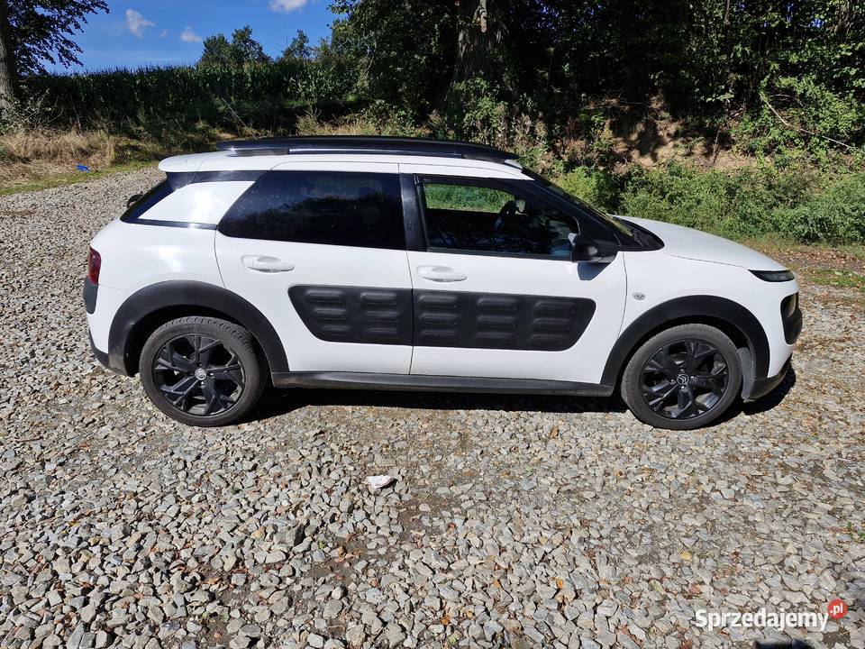 Citroen cactus z lpg i androidauto Ścinawa Nyska sprzedam