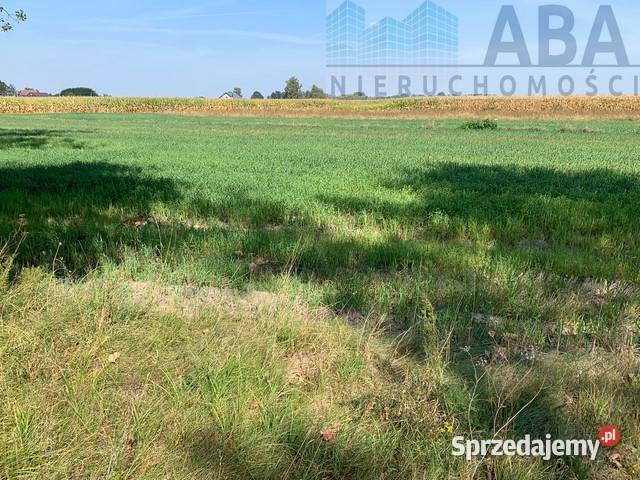 Złotkowy gm Rychwał 3 działki budowlane na