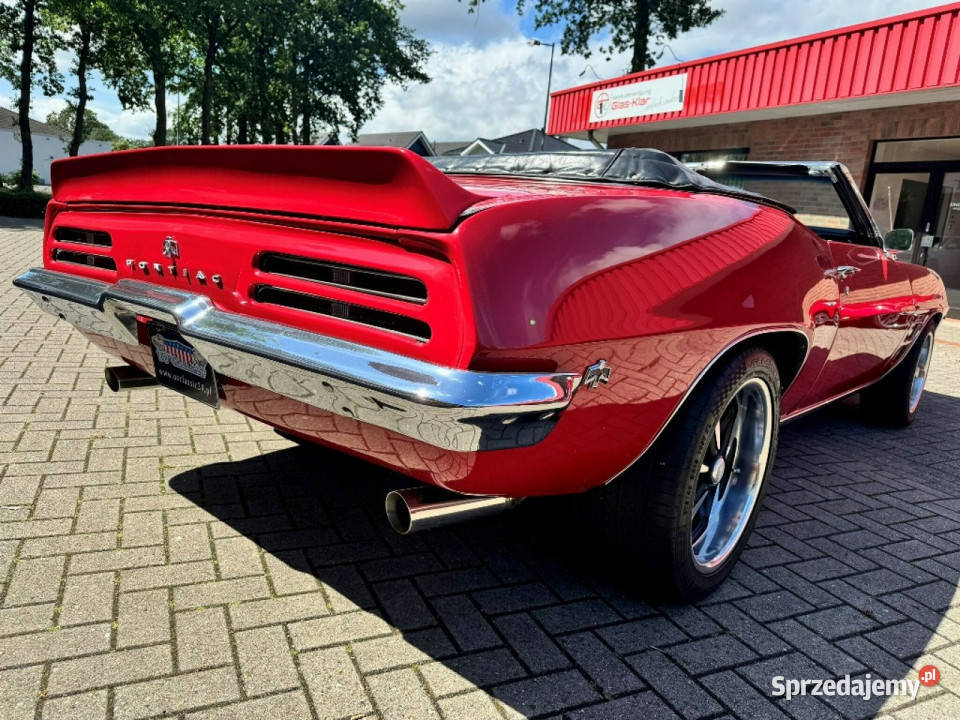Pontiac Firebird Trans Am Convertible 1969 Sulechów sprzedam