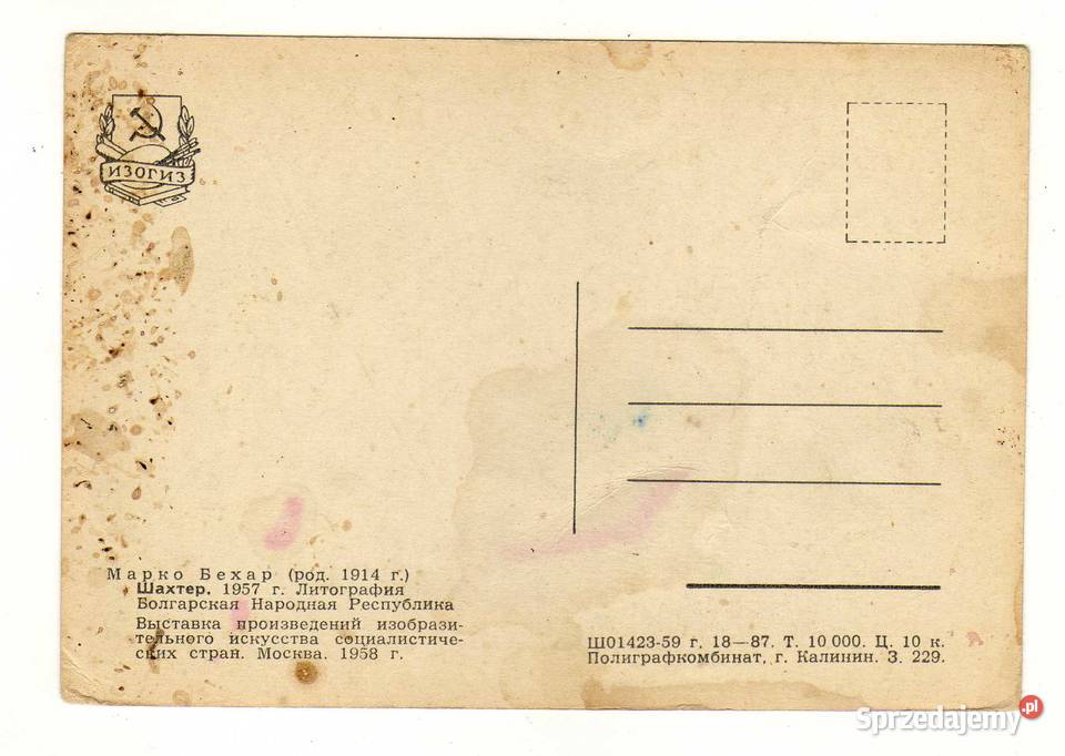 GÓRNIK MARKO BEHAR IZOGIZ świętokrzyskie Krynki