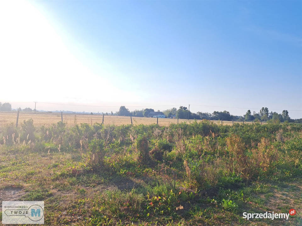 sprzedaży działki Łubnice 21800m2 Sprzedaż świętokrzyskie
