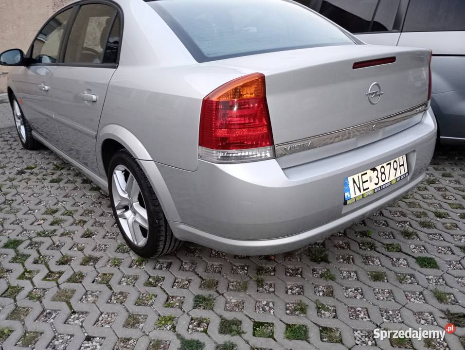 wybór Elbląg