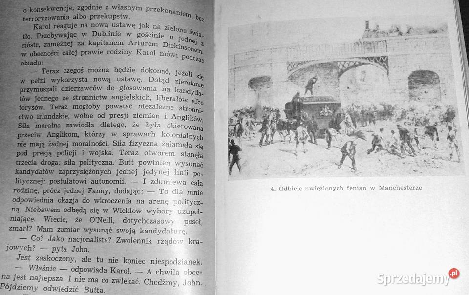 Niekoronowany król Irlandii George Bidwell Rok wydania 1975 Chełm