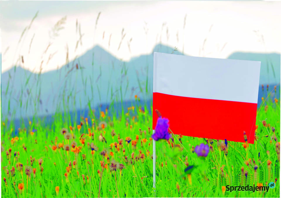 POLSKA chorągiewka biało czerwona Gdańsk
