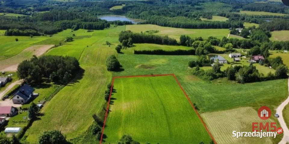 Działka Sidory 8964m2