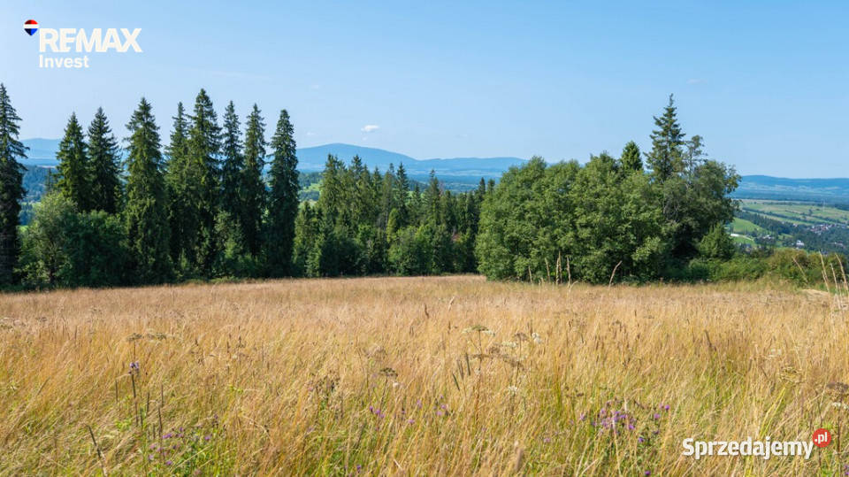 Twój kawałek natury z widokiem na Tatry Dzianisz