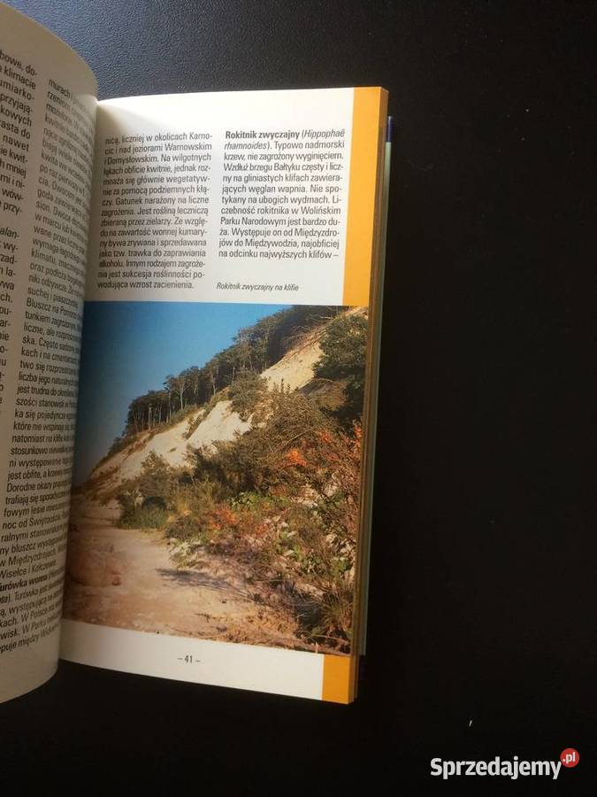 353 Woliński Park Narodowy zachodniopomorskie Szczecin