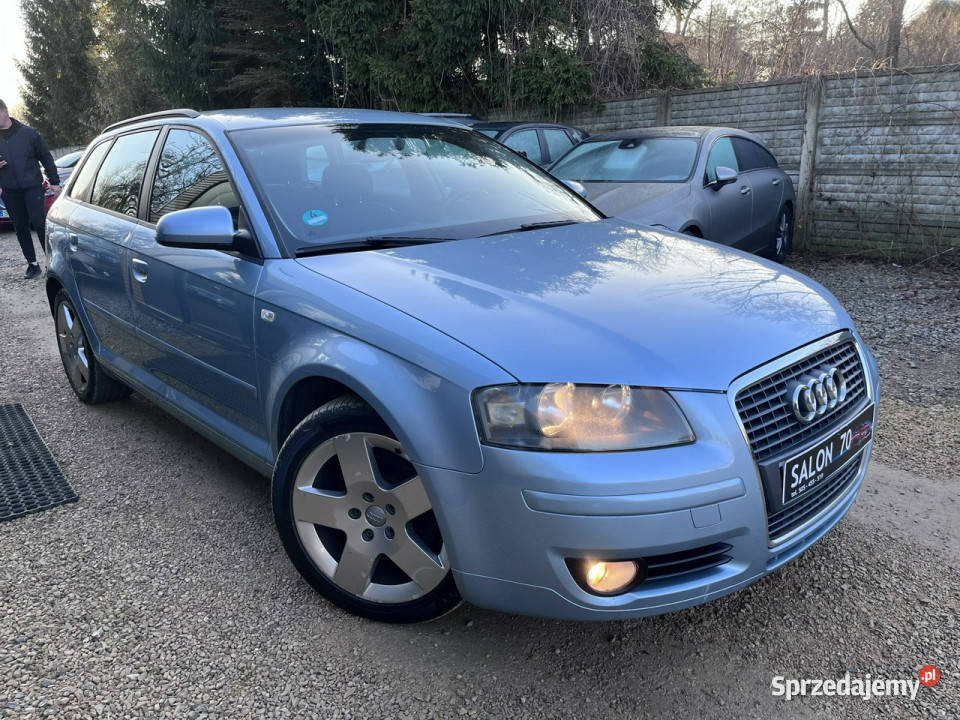 Audi A3 Sportback 20 Climatronic Alu 6biegów Ks A3 Częstochowa