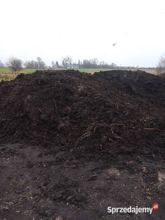Ziemia ogrodowa torf TRANSPORT Dobrzyń nad Wisłą