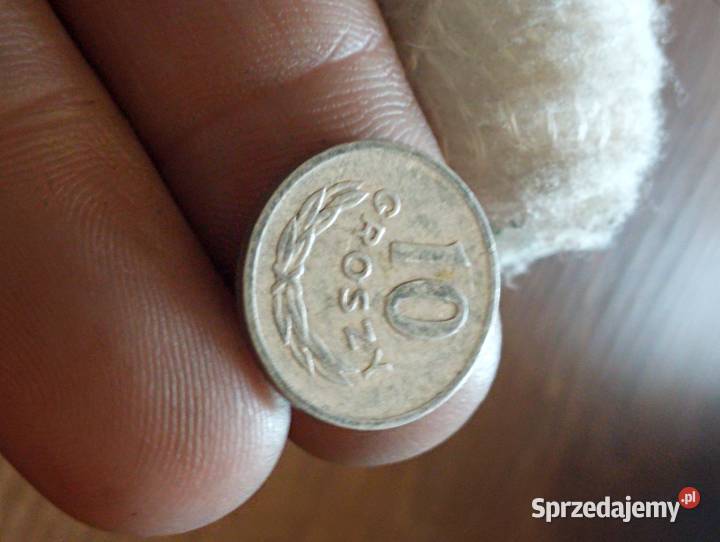Sprzedam 10 gr 1970 r zzm Chełm